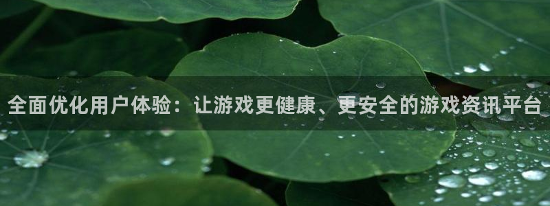 极悦娱乐平台负责人：全面优化用户体验：让游戏更健康、更安全的