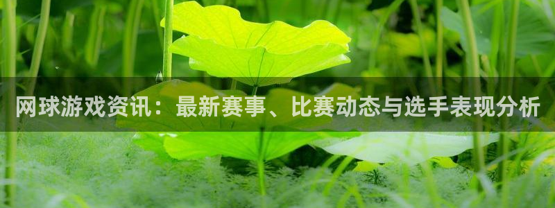 极悦娱乐4主管：网球游戏资讯：最新赛事、比赛动态与选手表现分