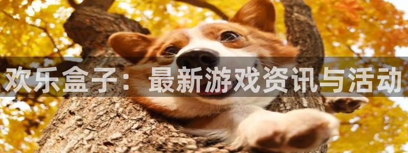 极悦娱乐平台官网注册：欢乐盒子：最新游戏资讯与活动