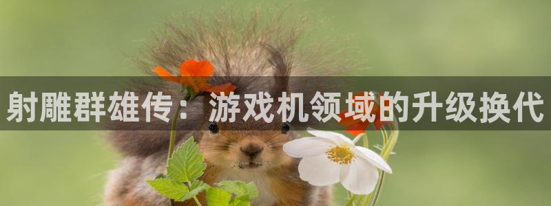 极悦娱乐怎么注册：射雕群雄传：游戏机领域的升级换代