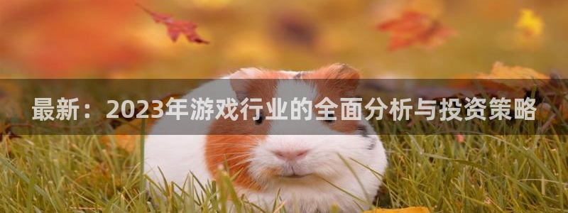 极悦娱乐注册服务条款：最新：2023年游戏行业的全面分析与投