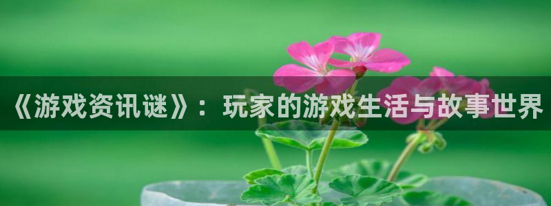 极悦娱乐app下载：《游戏资讯谜》：玩家的游戏生活与故事世界