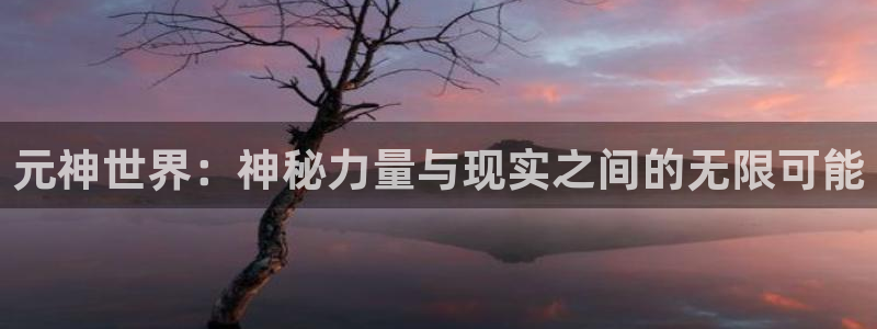 极悦娱乐Ii：元神世界：神秘力量与现实之间的无限可能