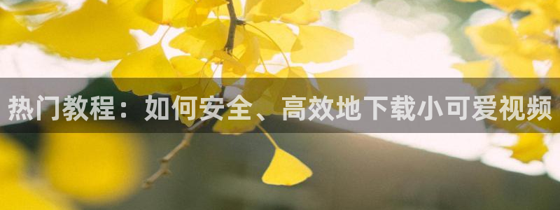 857体育赛事直播平台下载：热门教程：如何安全、高效地下载小可爱视频