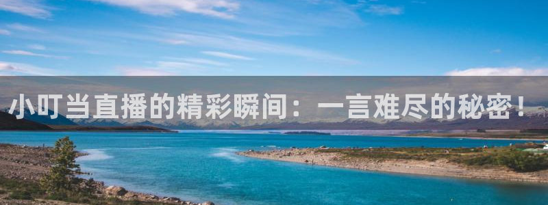 857雨燕体育直播