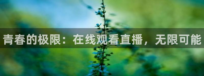 857足球比赛免费直播：青春的极限：在线观看直播，无限可能