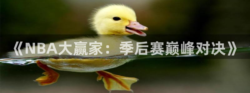 857直播体育免费平台：《NBA大赢家：季后赛巅峰对决》