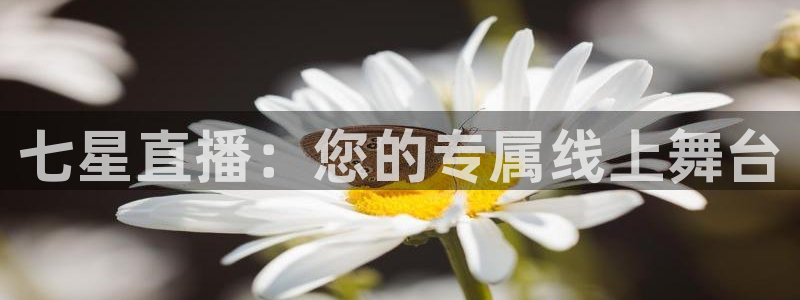 857体育直播在线观看免费下载：七星直播：您的专属线上舞台