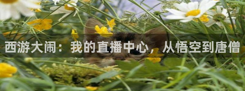857体育赛事在线直播：西游大闹：我的直播中心，从悟空到唐僧